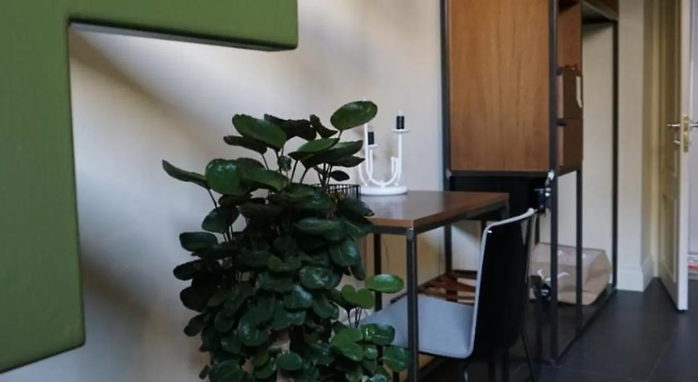 Avolio Tailored Rooms Badezimmer