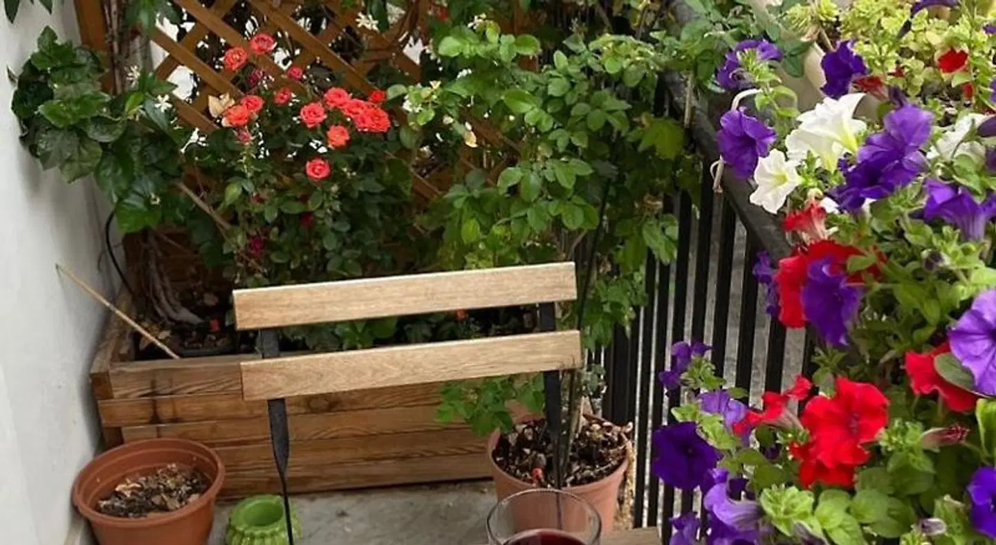 Real Fonderia b&b EXTERIOR