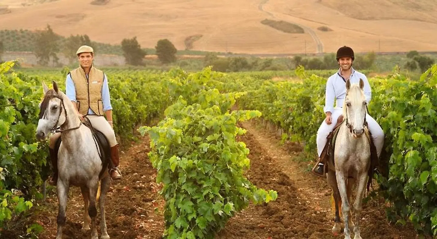 Villa Dafne Sport und Entertainment