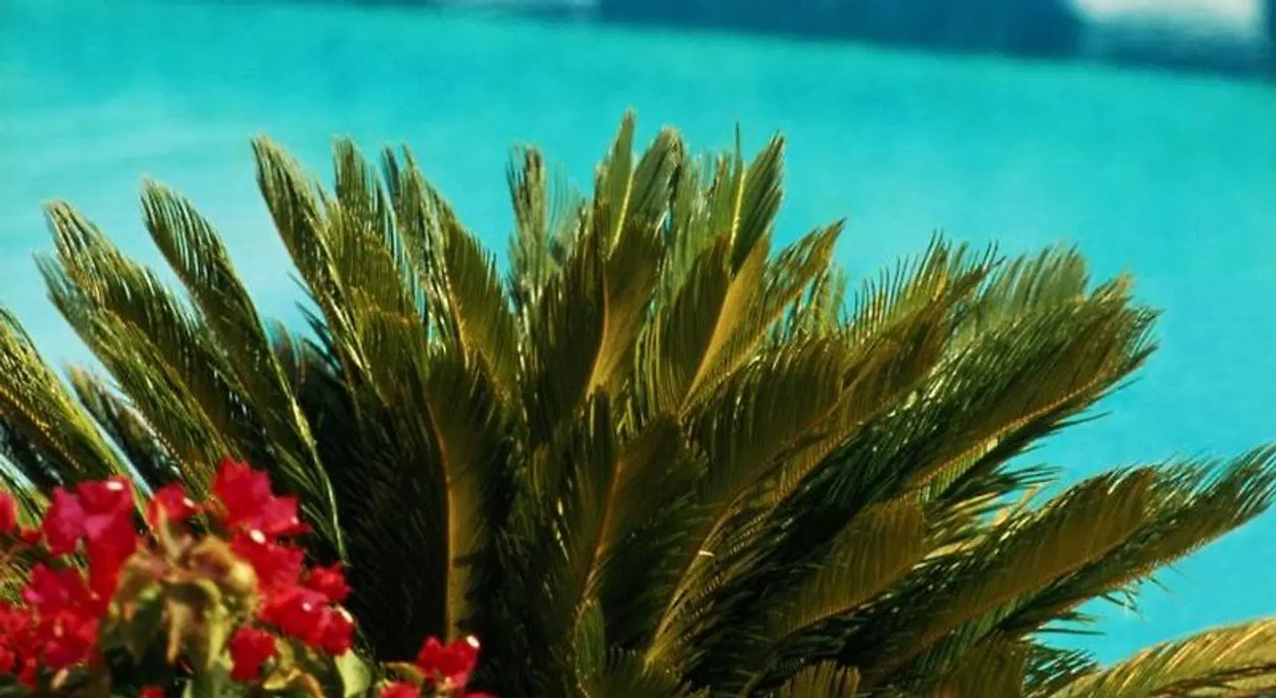 Villa Dafne Landschaft