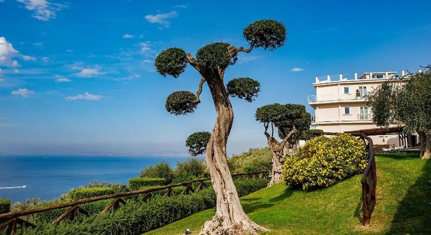 Villa Fiorella Art Hotel Tiere