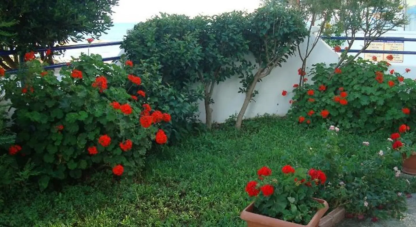 Philippos Studios & Apartments Garten