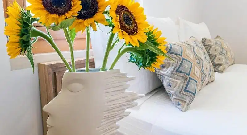Aelios Design Hotel – Hotelfoto