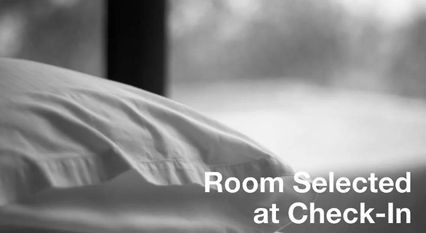 Hollywood Celebrity Hotel ROOM_EXAMPLE