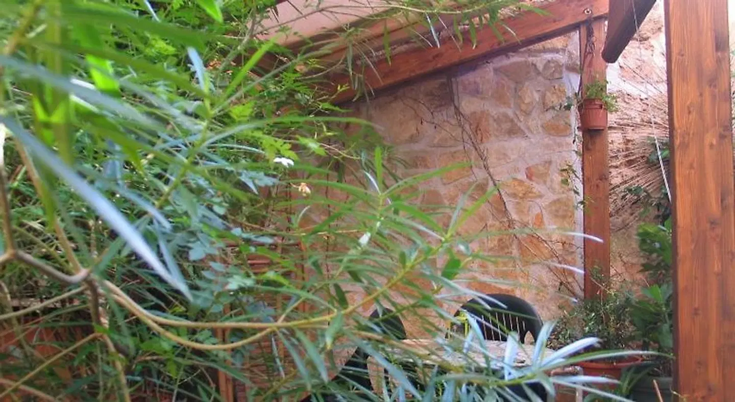 The Garden LANDSCAPE