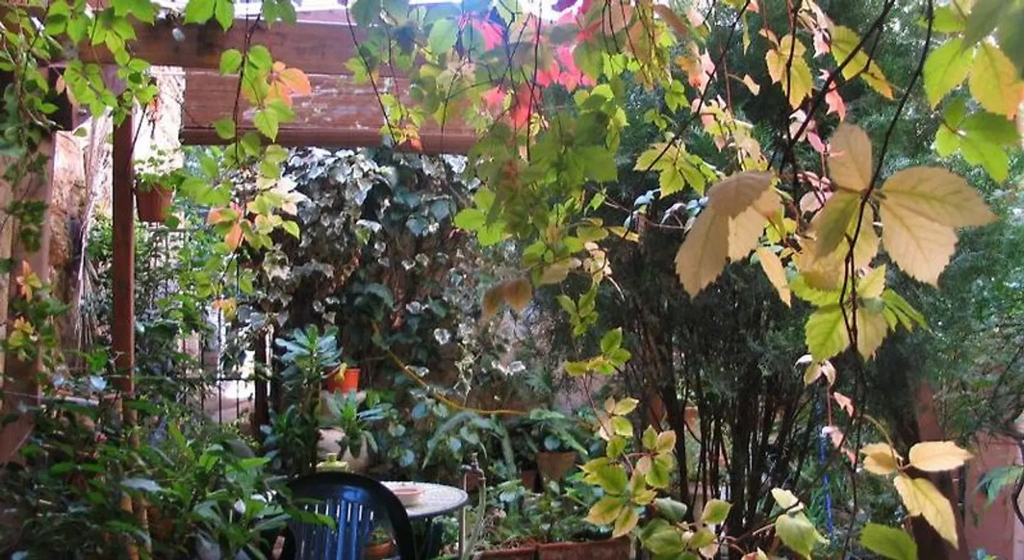 The Garden LANDSCAPE