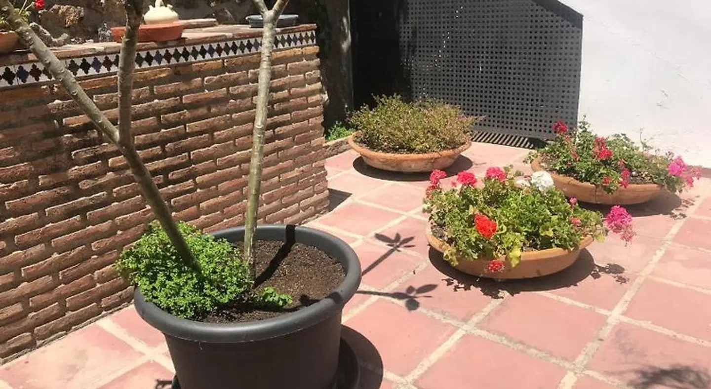 Apartamentos Turísticos La Mundial Terrasse