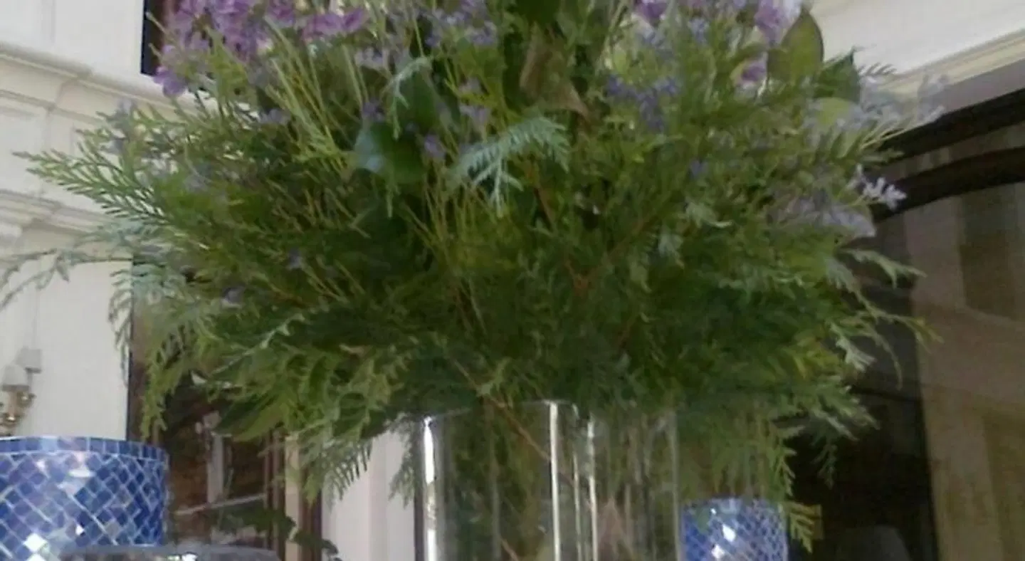 Don Pio Garten