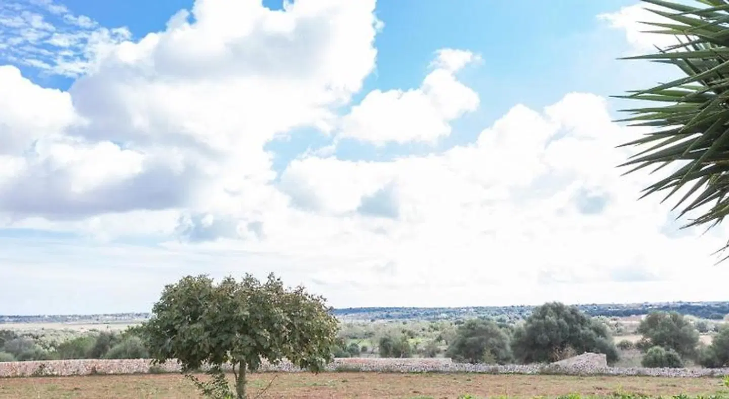 ES TURÓ LANDSCAPE