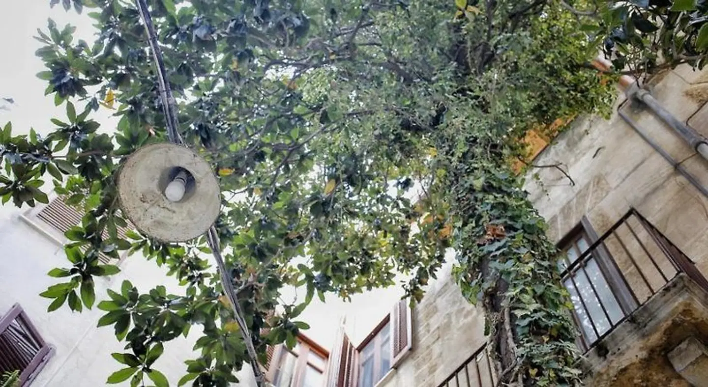 B&B Garibaldi Garten