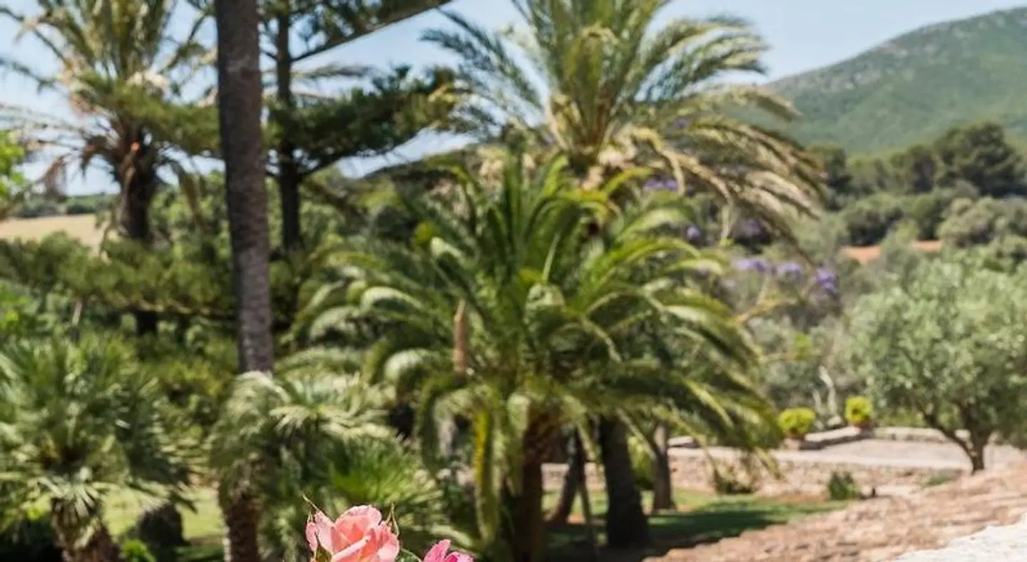 Rural Son Mas Garten