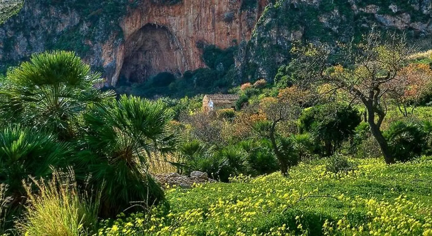 Coralia Bed & Breakfast LANDSCAPE