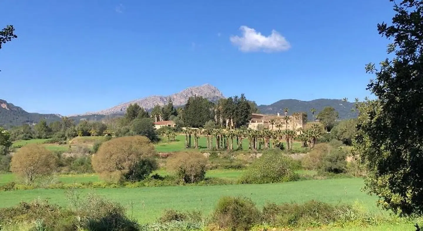 Finca Son Pont LANDSCAPE
