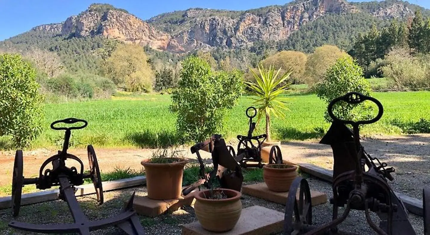 Finca Son Pont Terrasse