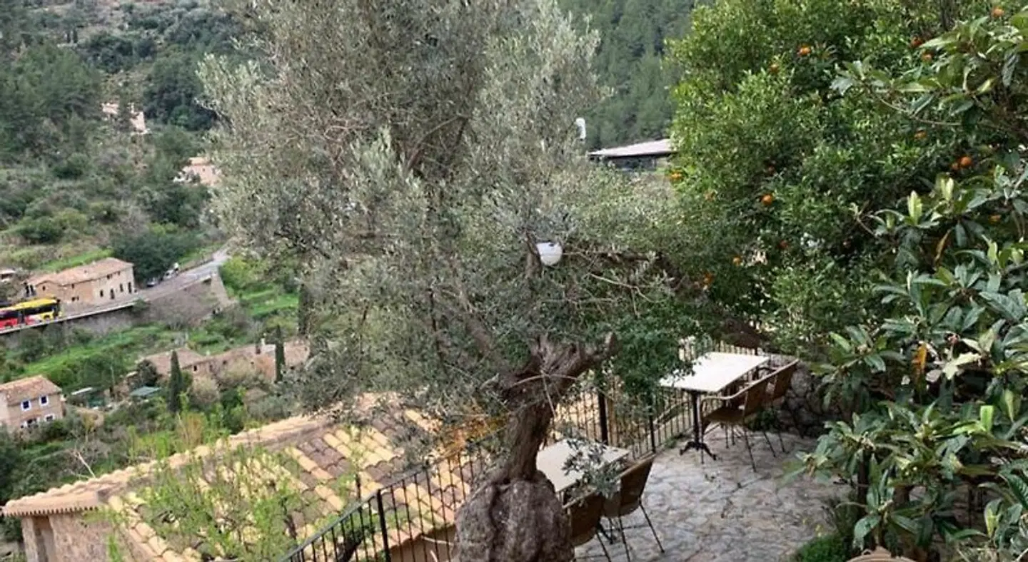 Hostal Villa Verde Garten