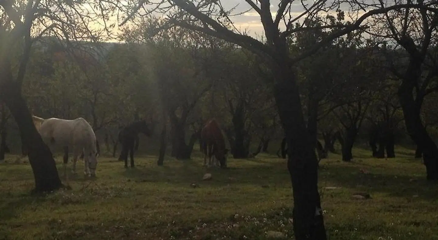 Agriturismo Vita e Natura Tiere