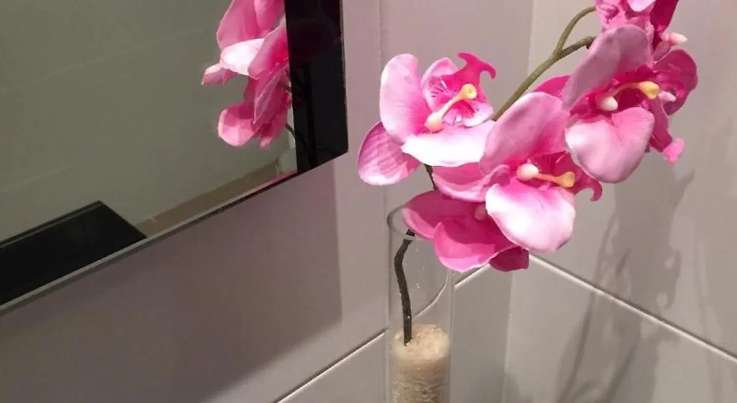 Residencial Suites Valldemossa HEALTH_BEAUTY