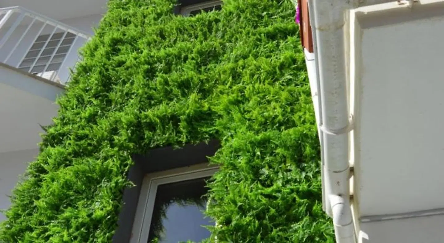 Hostal Mar del Plata Garten