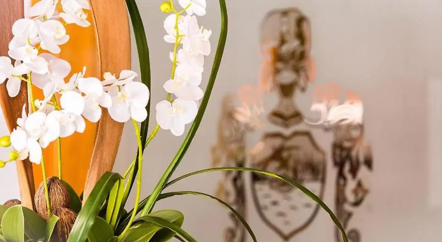 Hotel Playas de Paguera Personen