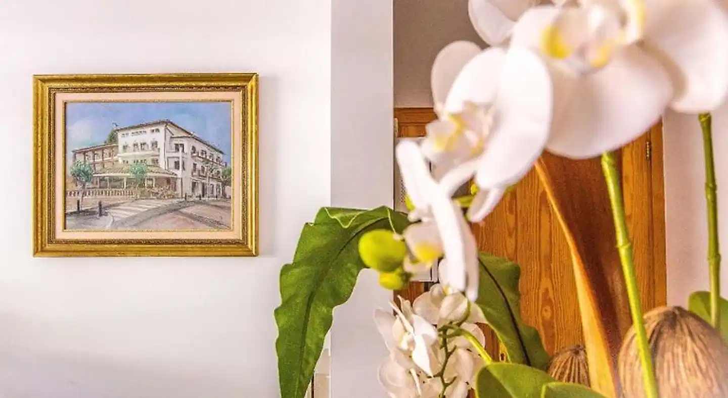 Hotel Playas de Paguera Personen