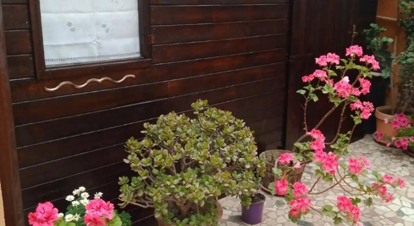 B&B Villa Liliya Garten