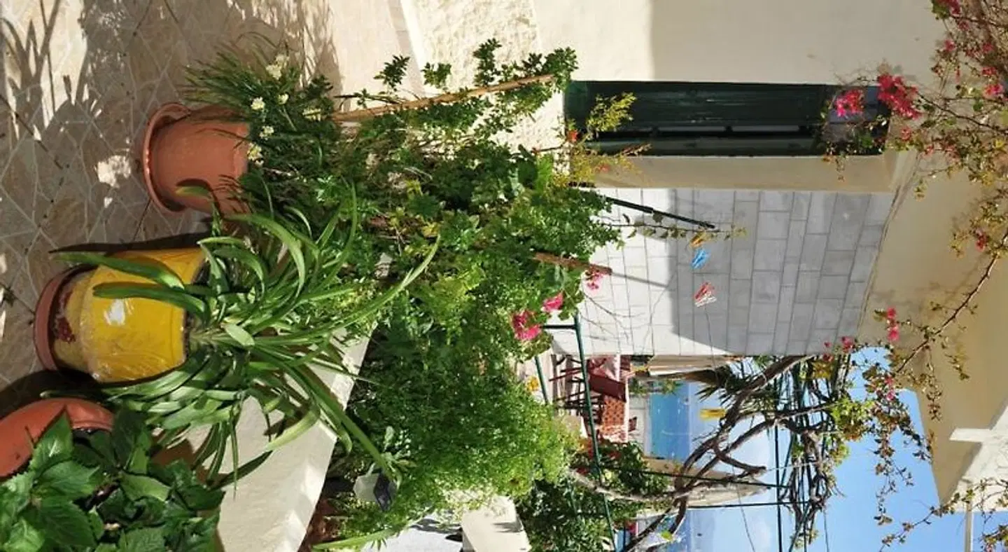 Akteon Rooms Garten