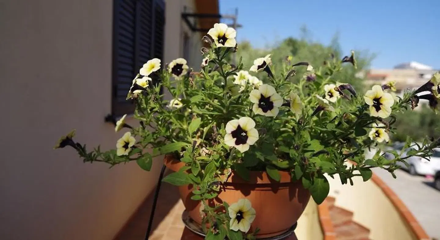 Balconcino Sugli Ulivi Badezimmer