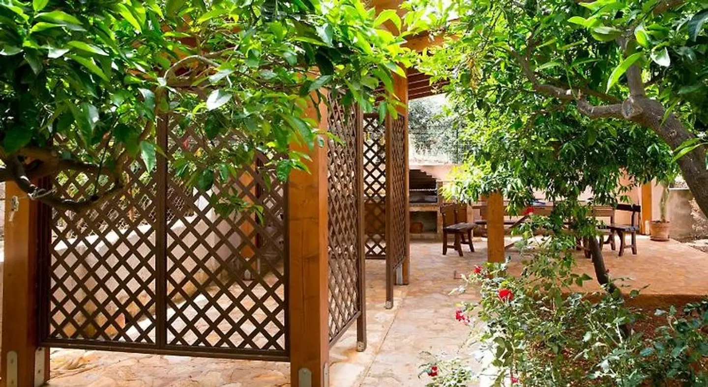 Alba Marina Bed & Breakfast Terrasse