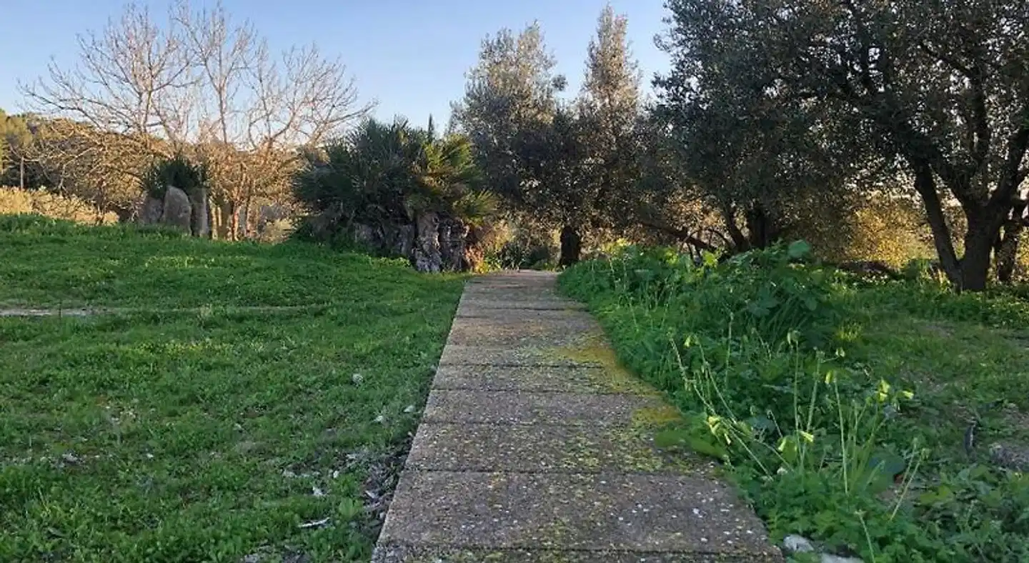 Finca Es Rafal Garten