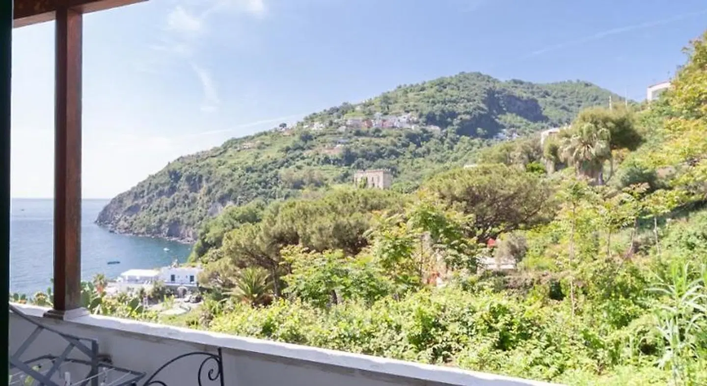 Don Felipe LANDSCAPE