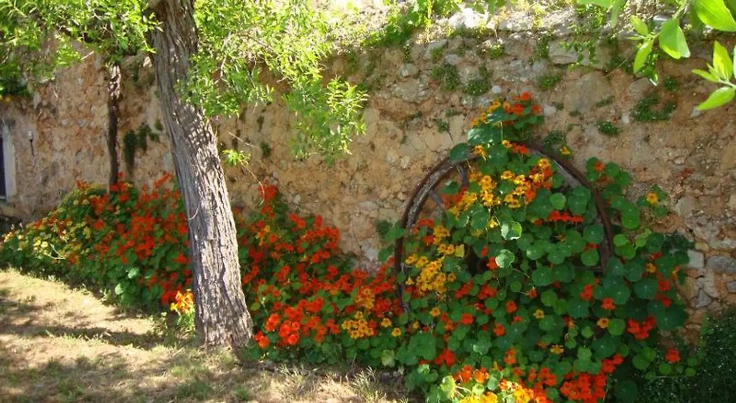 Agroturisme Son Pons LANDSCAPE