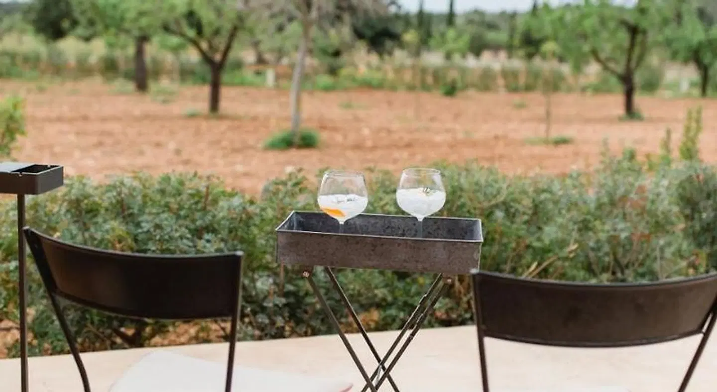 Finca Es Cabas Garten