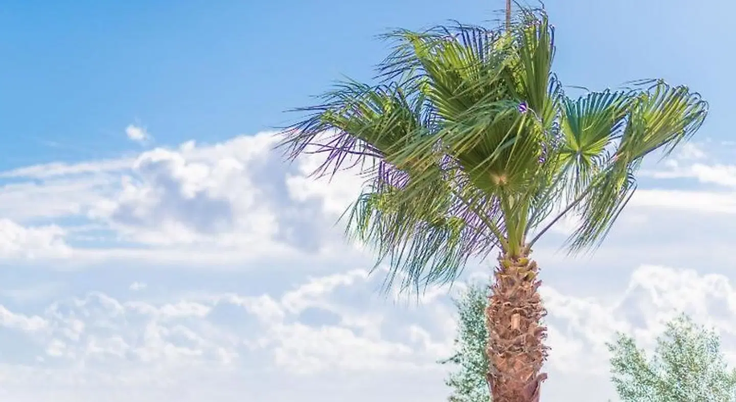 Villa Vista Alegre LANDSCAPE