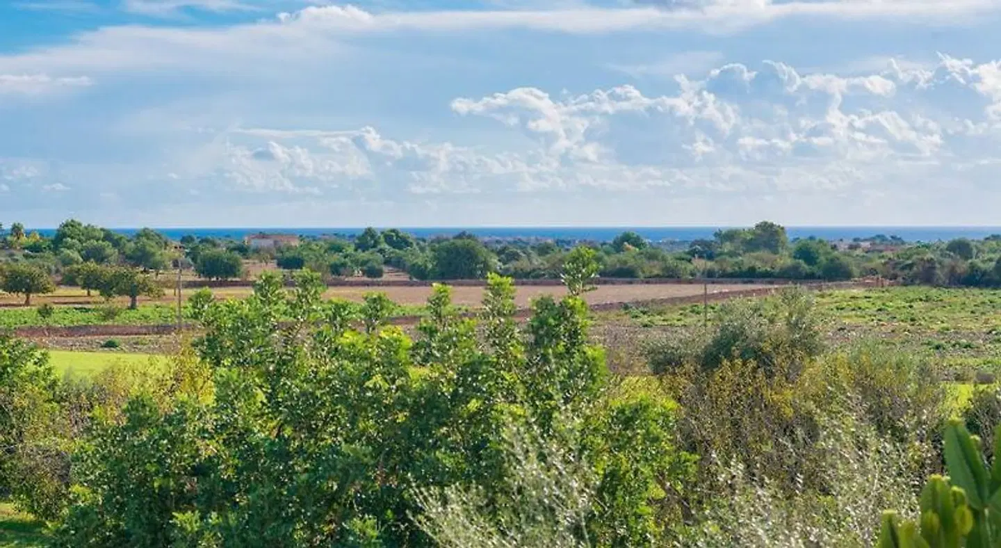 Villa Vista Alegre LANDSCAPE