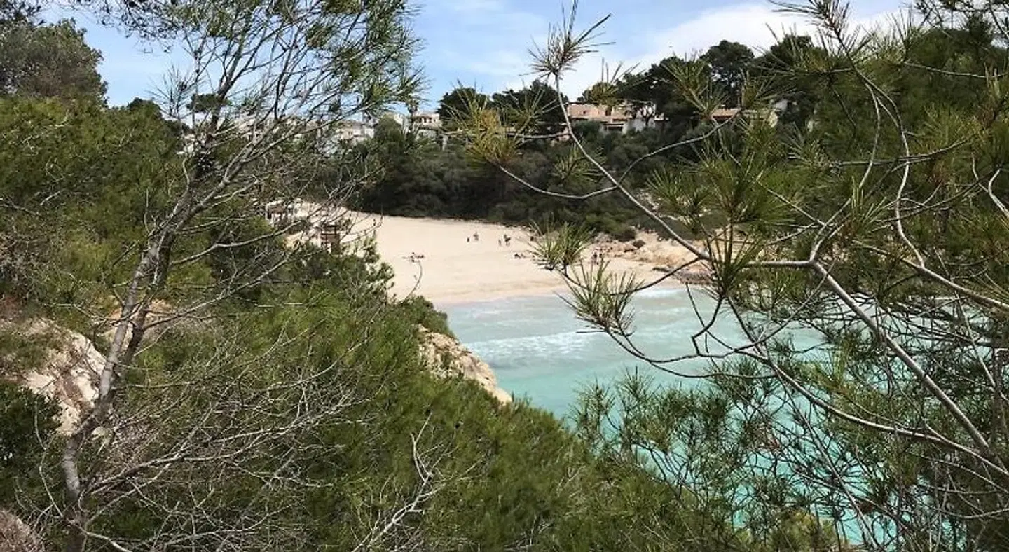 Ses Gavines-Cala Anguila Apartments Strand