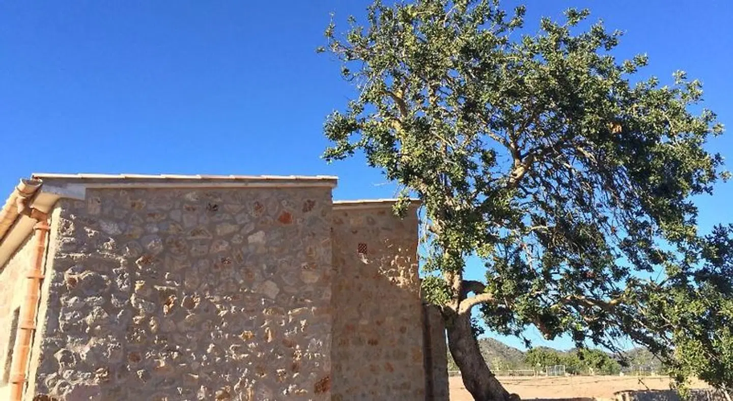 Finca Agroturismo Ca Na Nina EXTERIOR