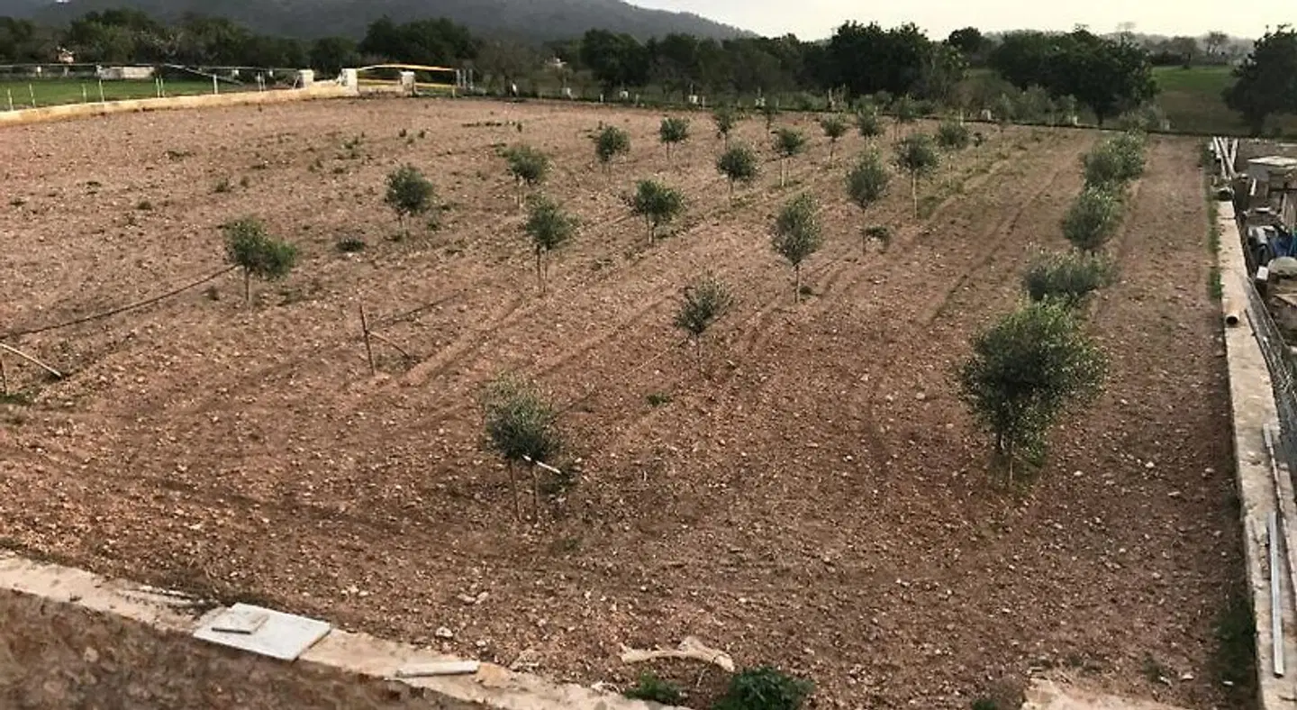 Finca Agroturismo Ca Na Nina LANDSCAPE