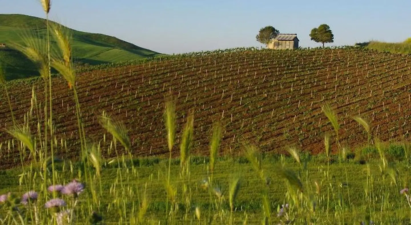 B&B Polvere Di Stelle LANDSCAPE