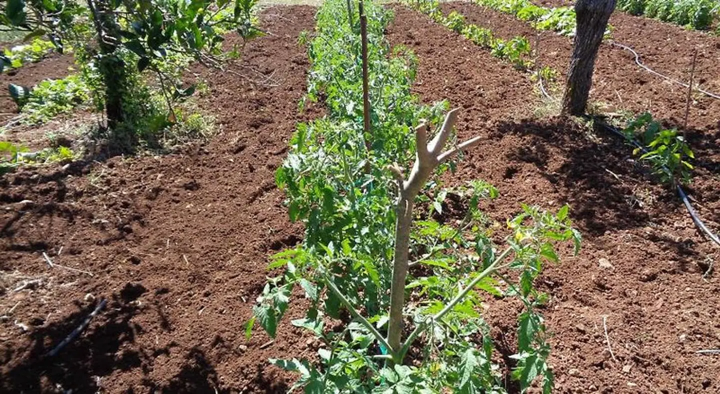 Agroturismo Na Set Centes LANDSCAPE