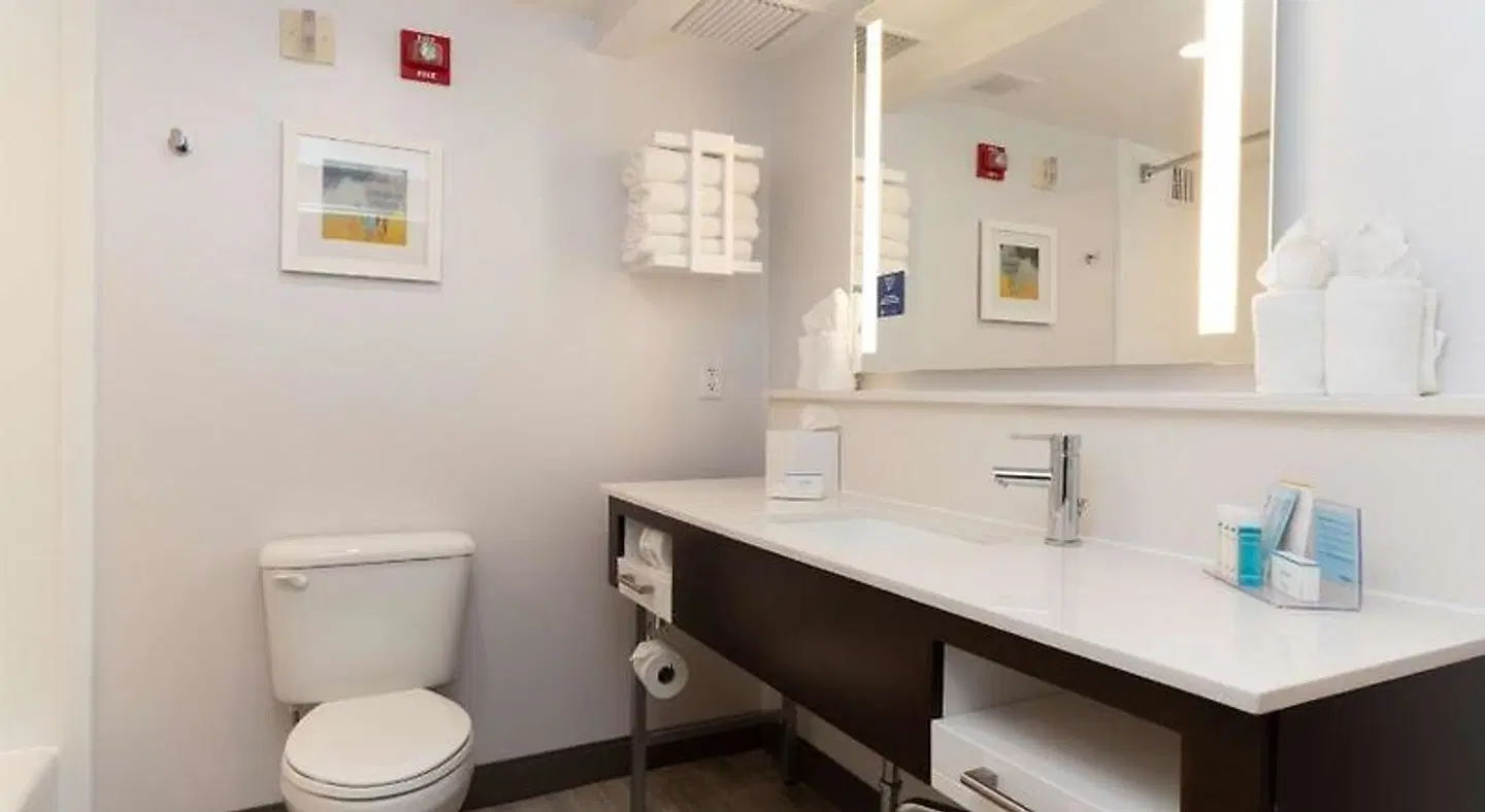 Hampton Inn & Suites Arlington Crystal City DCA Badezimmer