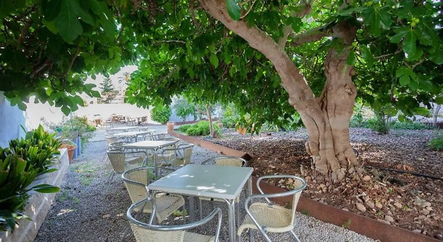 Petit Garden by Flacalco Terrasse