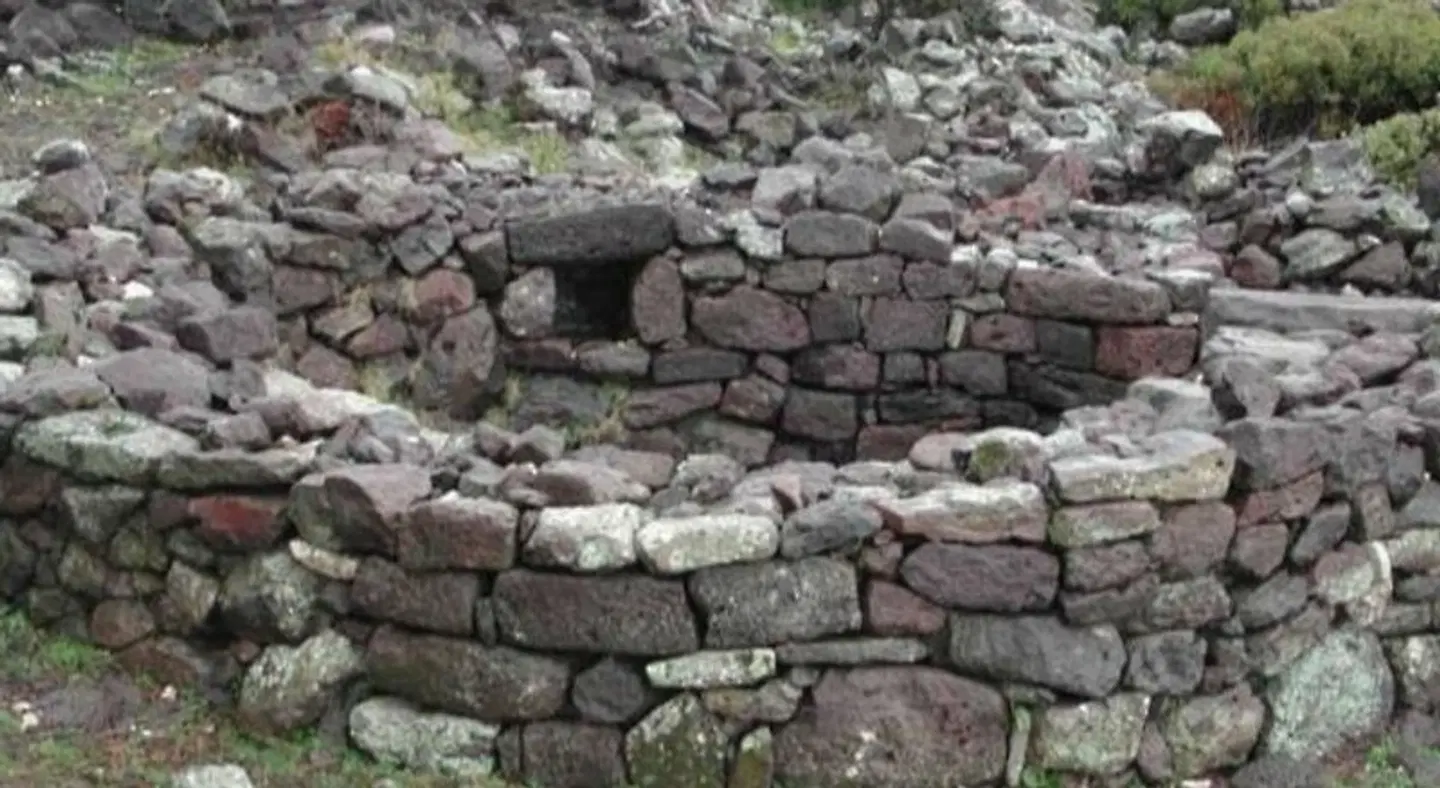 Hotel San Francisco Tiere