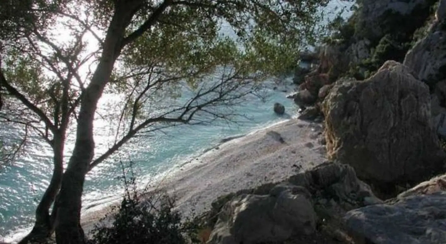 Hotel San Francisco LANDSCAPE