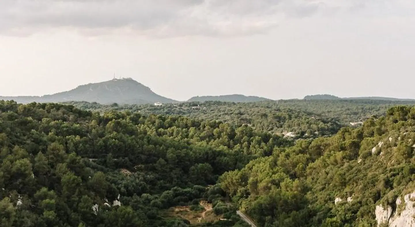 Finca Agroturismo Llucasaldent Gran Menorca LANDSCAPE