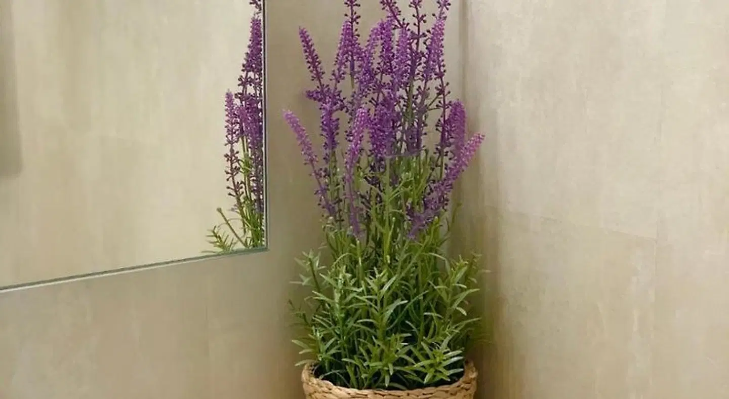 Apartamentos Sa Torre HEALTH_BEAUTY
