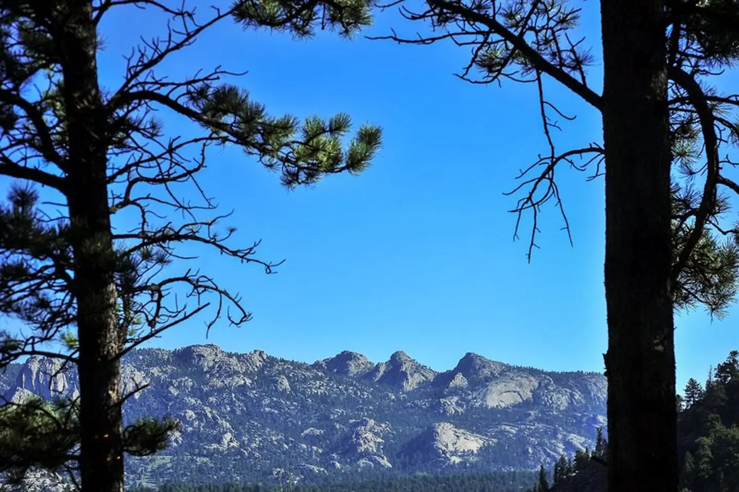 The Historic Crag's Lodge LANDSCAPE