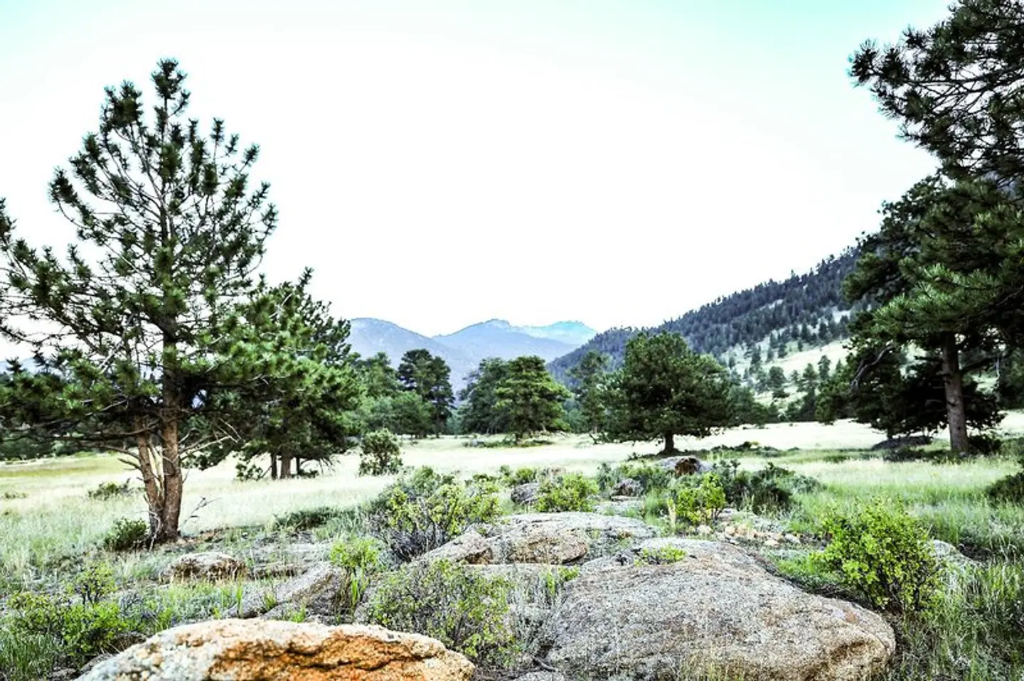 The Historic Crag's Lodge LANDSCAPE