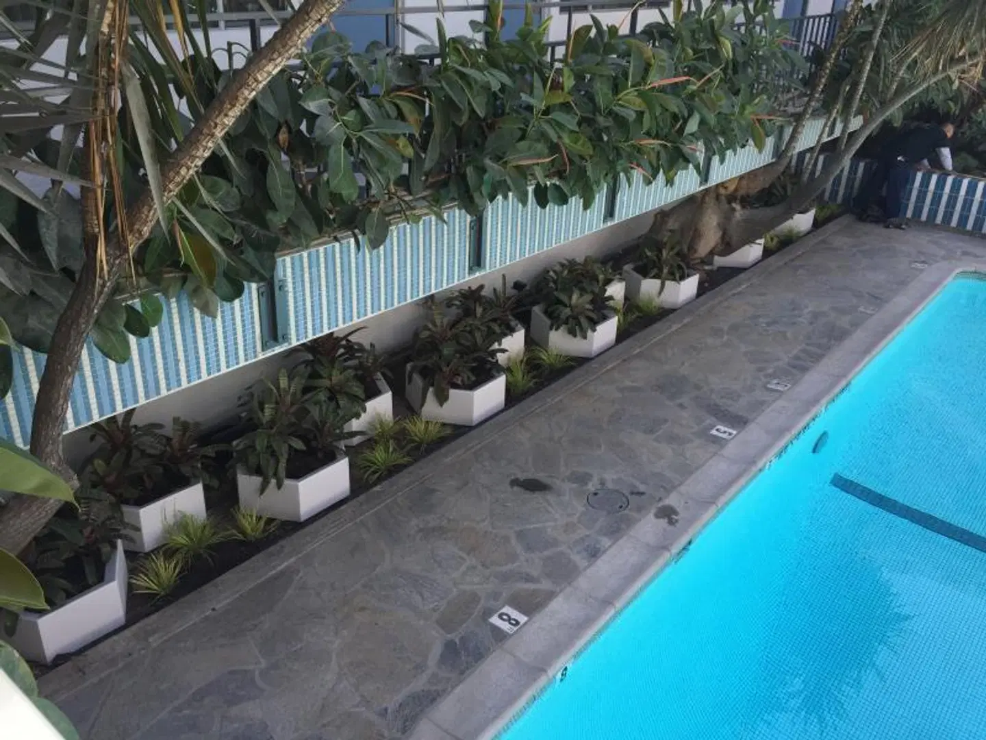 Beverly Laurel Motor Hotel OUTDOOR_POOL