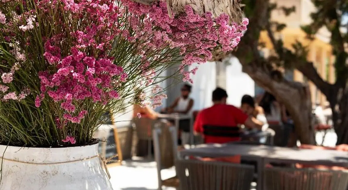 Can Micalet Terrasse