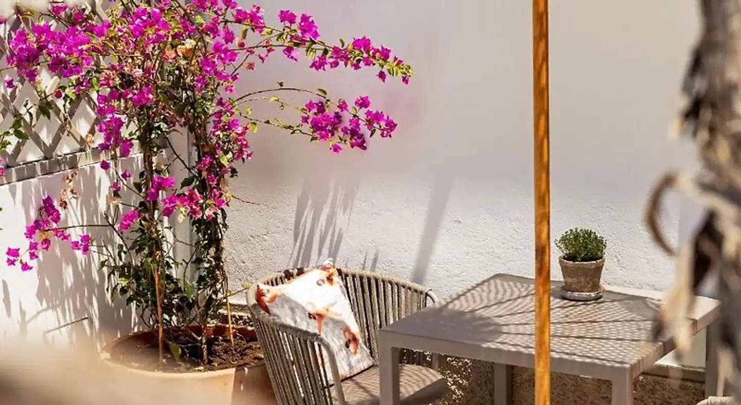 Can Micalet Wellness